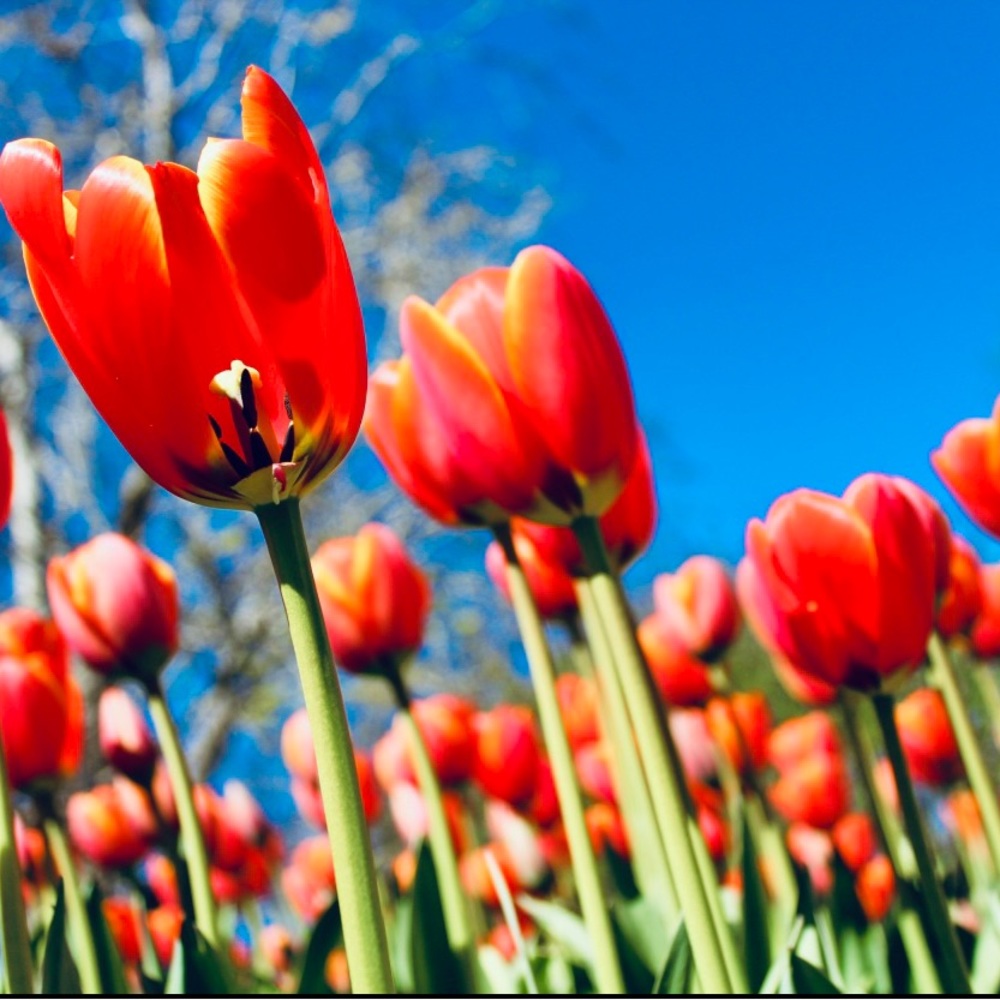 Meet your Posher, Jane